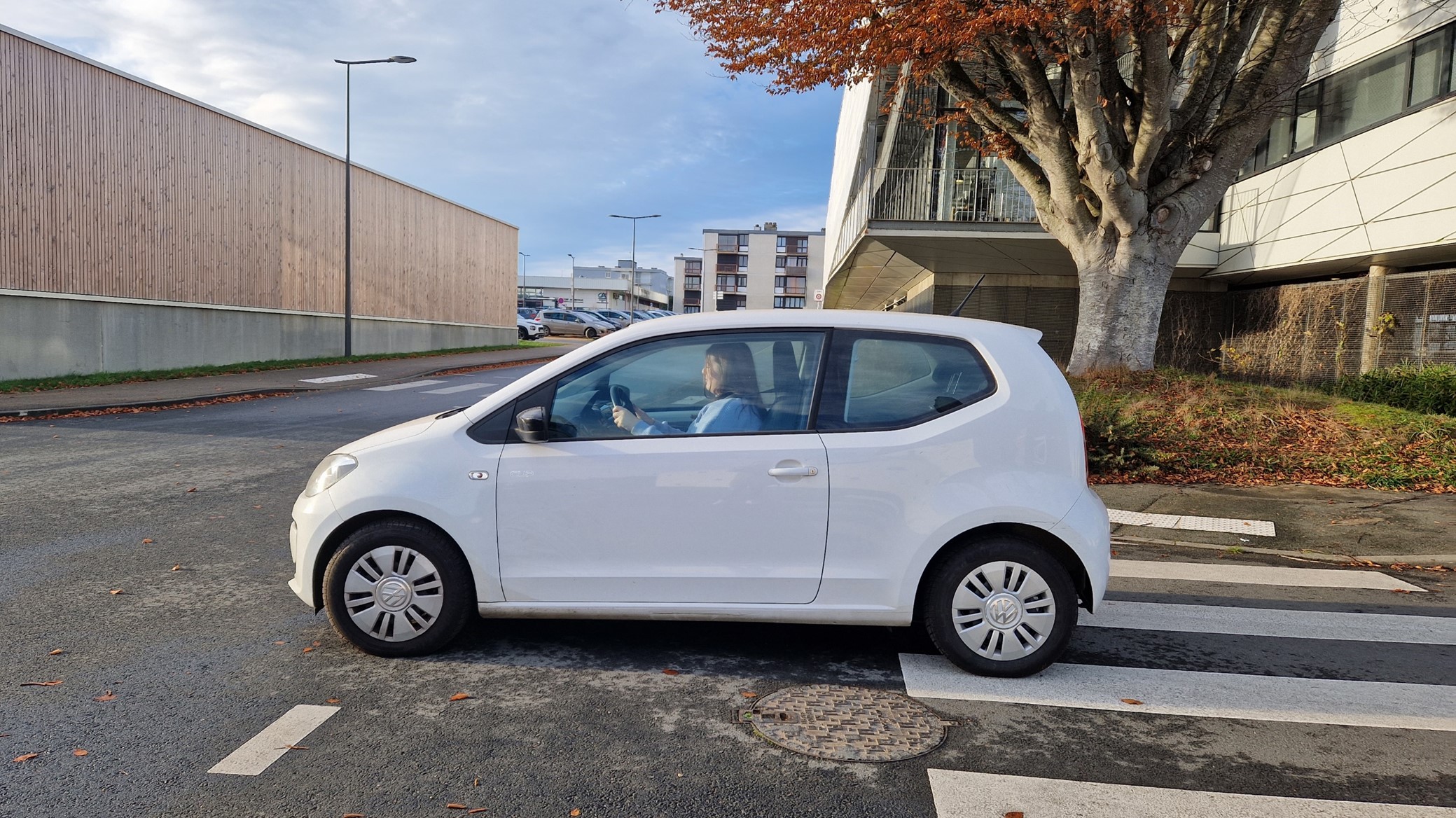 This image for Image Layouts addon